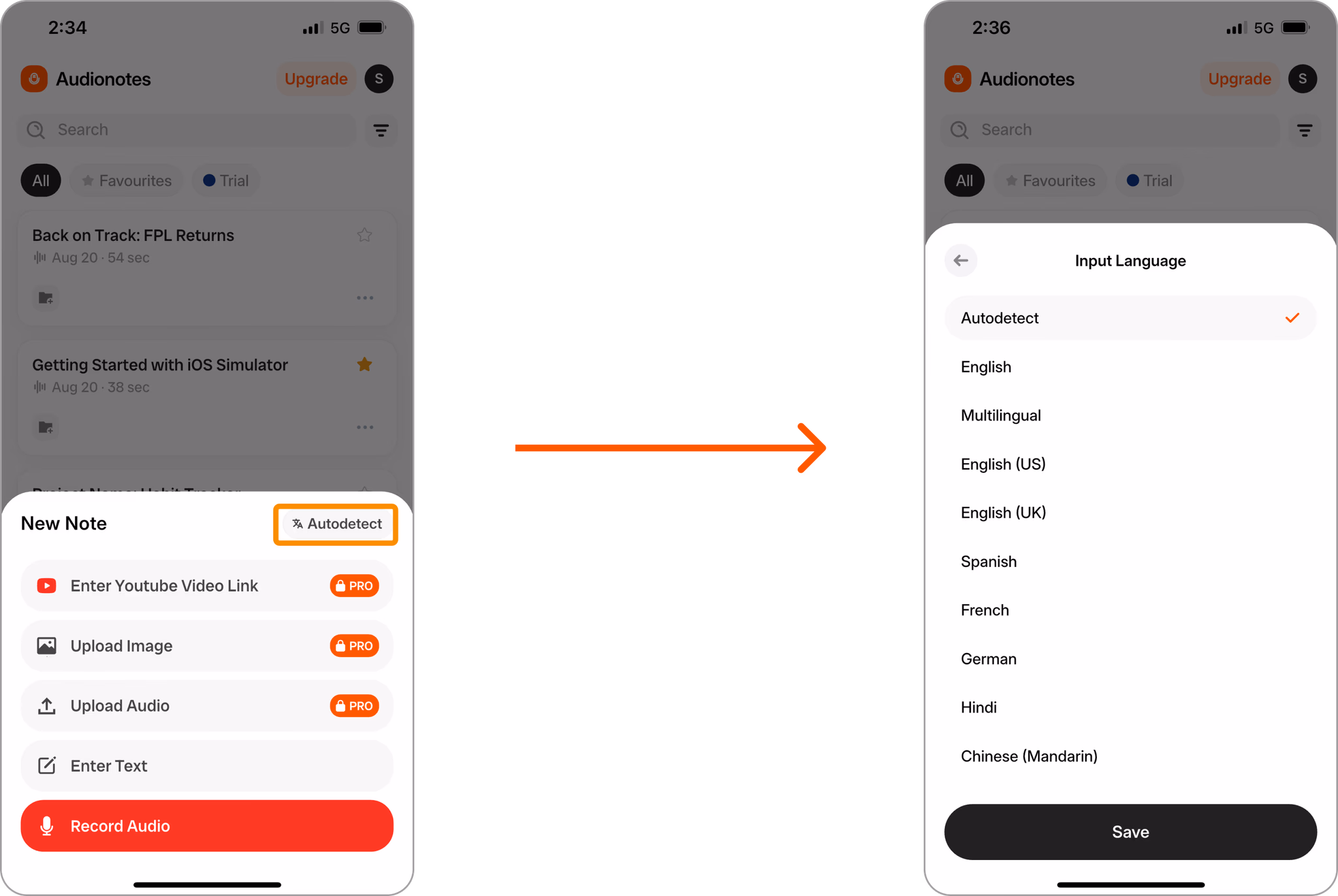 Audionotes mobile App – Sprachauswahlbildschirm