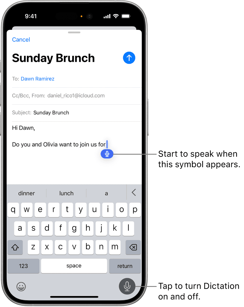 Apple Dictation